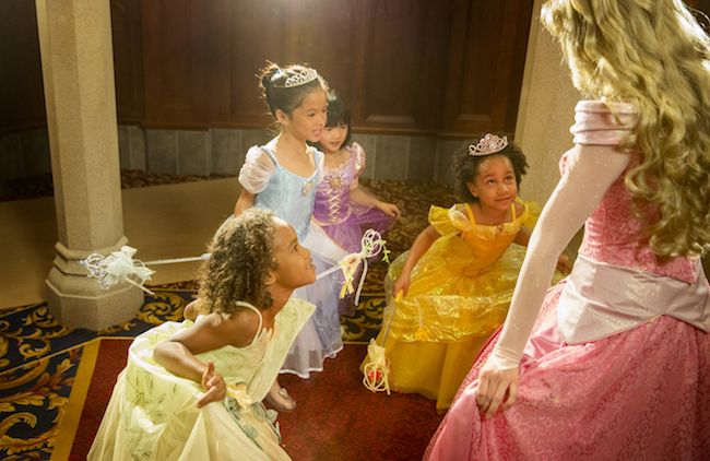 Disneyland Sleeping Beauty image