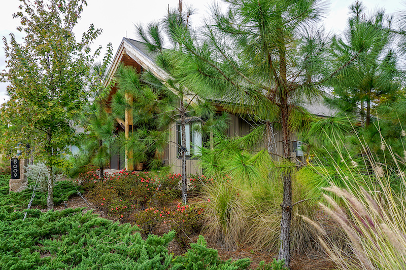 Copper Creek Cabin at Disney's Wilderness Lodge image