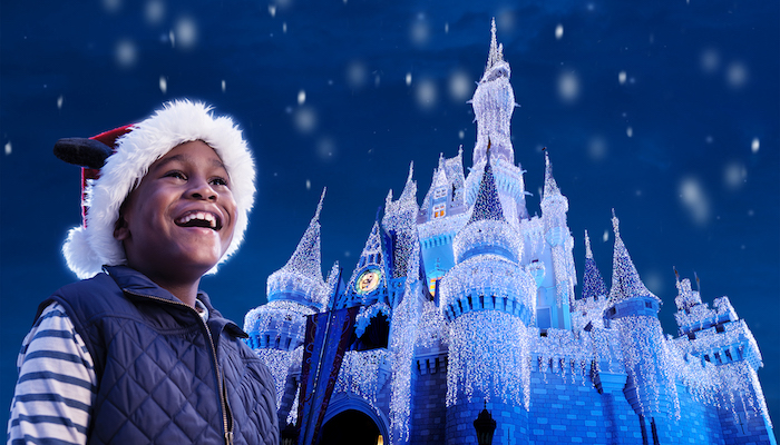 Walt Disney World holiday image