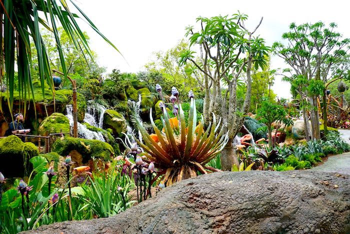 Pandora-World of Avatar plant life image