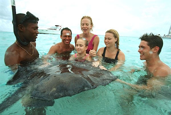 Disney Cruise Line Stingray City Grand Cayman image