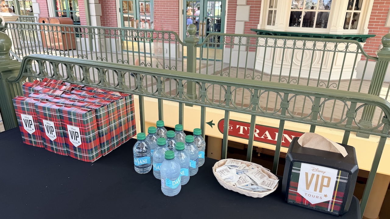 Fun Treats at the VIP Viewing Area for the Magic Kingdom Parade