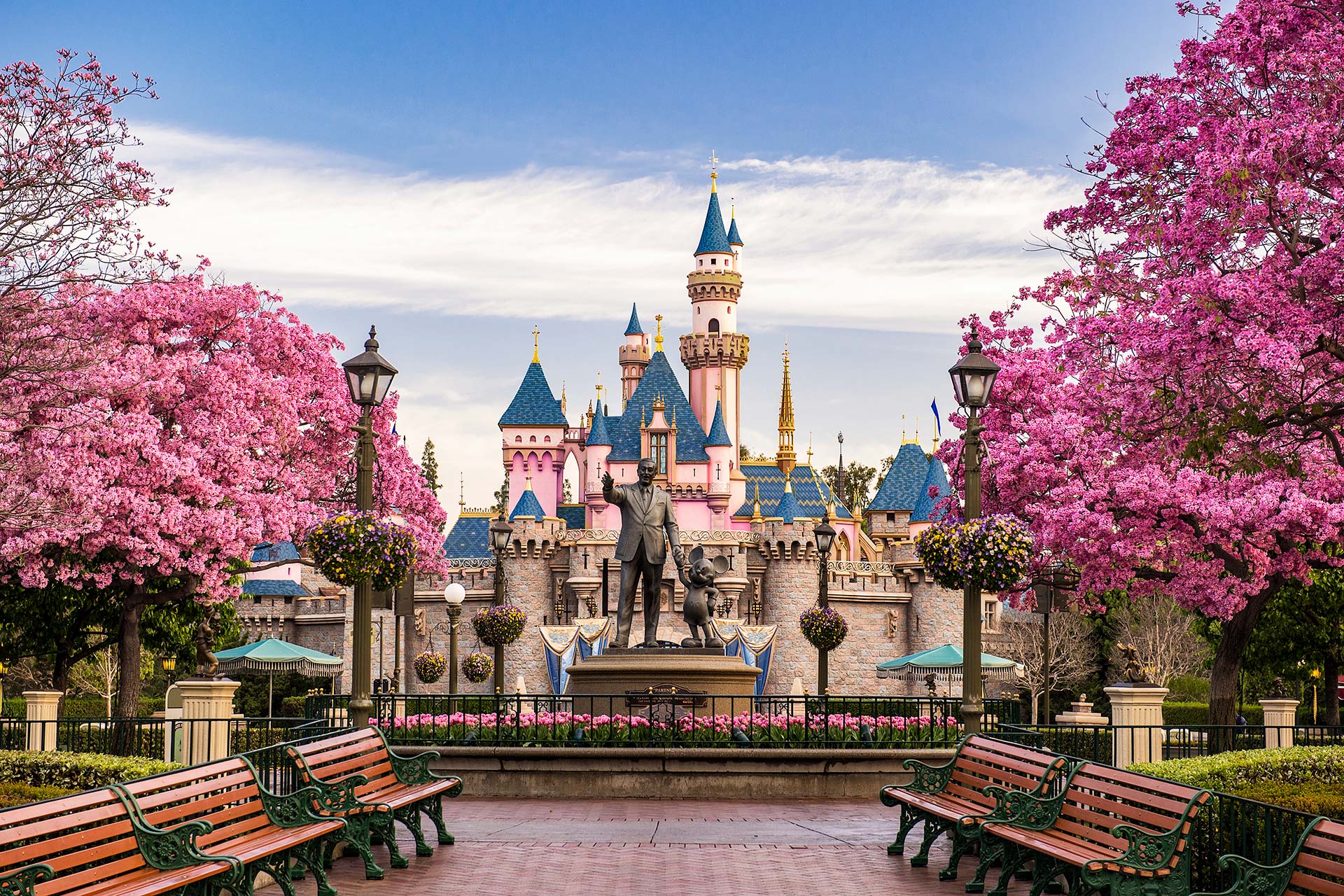 Image of Disneyland Resort